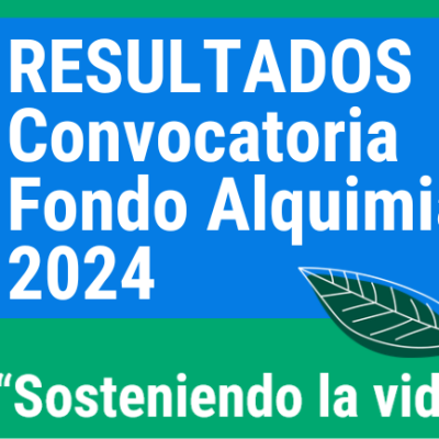 Resultados Fondo Alquimia 2024